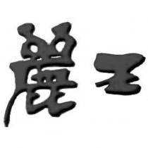 麗王