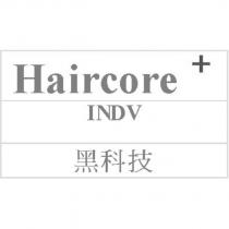 黑科技 Haircore INDV 及圖