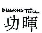 功暉 DIAMONDTUSA