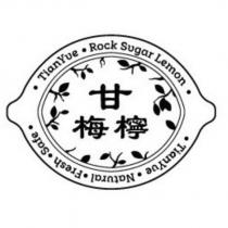 甘梅檸 TianYue Rock Sugar Lemon TianYue Natural Fresh Safe 及圖