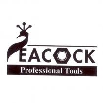 PEACOCK 設計字及圖 Professional Tools