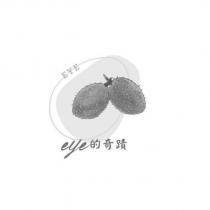 EYE eye 的奇蹟及圖