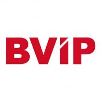 BViP 設計字