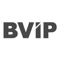 BViP 設計字