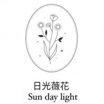 日光薇花 Sun day light 及圖