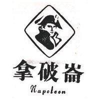 拿破崙及圖 NAPOLEON 