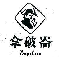 拿破崙及圖 NAPOLEON 
