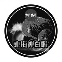 柯柯東海岸白蝦及圖
