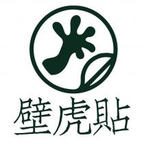 壁虎貼及圖