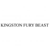 KINGSTON FURY BEAST