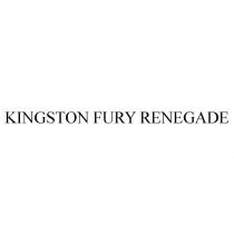 KINGSTON FURY RENEGADE