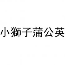 小獅子蒲公英