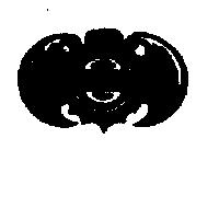 蝙蝠圖