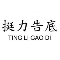 挺力告底 TING LI GAO DI
