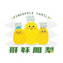 PINEAPPLE FAMILY 哥妹鳳梨及圖