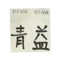 青益 DINA DINA 