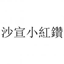 沙宣小紅鑽