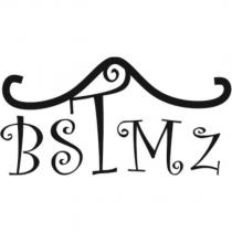 BSTMZ 設計圖