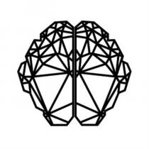 Geometric Brain
