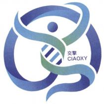 交擎 CIAOXY 及圖