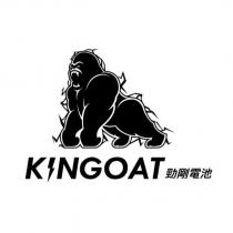 勁剛電池 KINGOAT 及圖