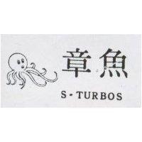 章魚 S TURBOS 及圖 