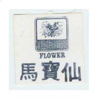 馬寶仙及圖