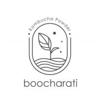 boocharati Kombucha Powder 及圖