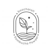boocharati Kombucha Powder 及圖