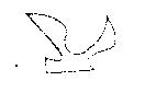 GULL DESIGN 