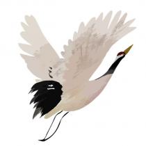 ミニ及圖