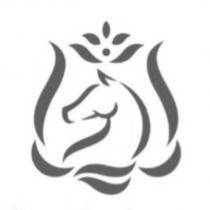 馬設計圖