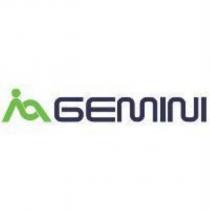 GEMINI 及圖
