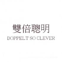 雙倍聰明 DOPPELT SO CLEVER