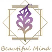 Beautiful Mind 及圖