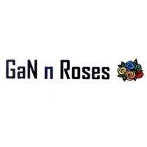 GaN n Roses 及五彩玫瑰圖