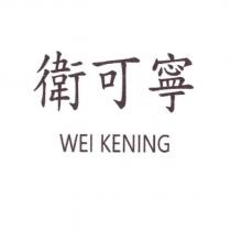 衛可寧 WEI KENING