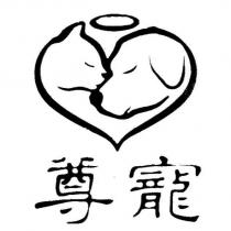 尊寵及圖
