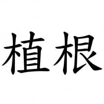 植根