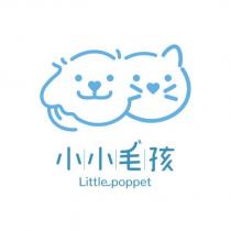 小小毛孩 Little poppet 及圖