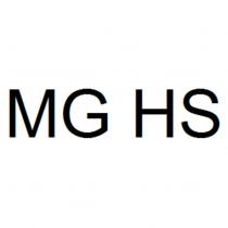 MG HS