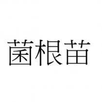 菌根苗