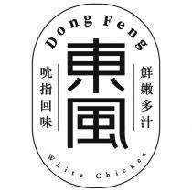 東風 Dong Feng 及圖