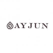 AYJUN 及圖