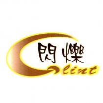 閃爍 Glint