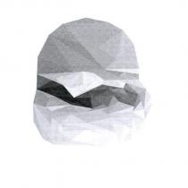 林桂鎂標章圖