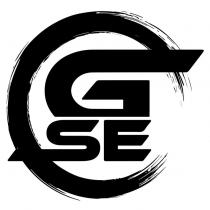 GSE 及圖
