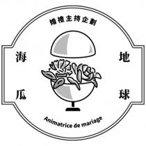 海地瓜球及圖