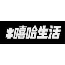 嘻哈生活及圖