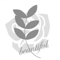 beautiful 及圖